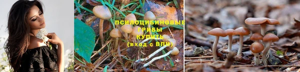 марки nbome Балахна